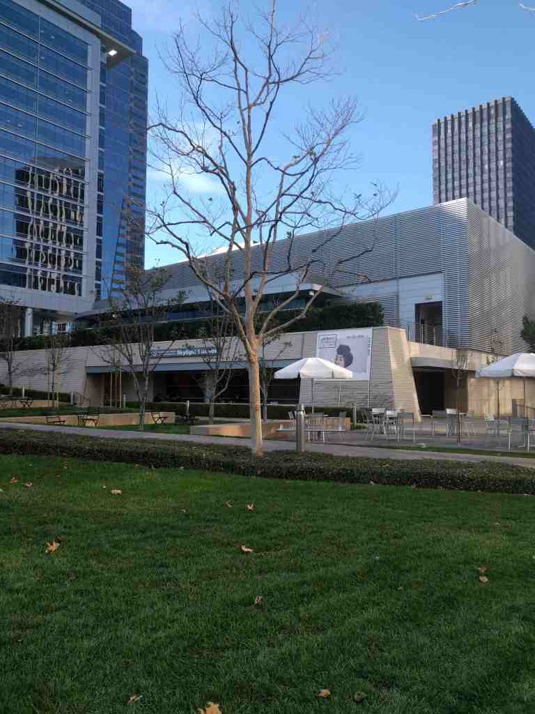 2017-01-06-12-49-28_lr