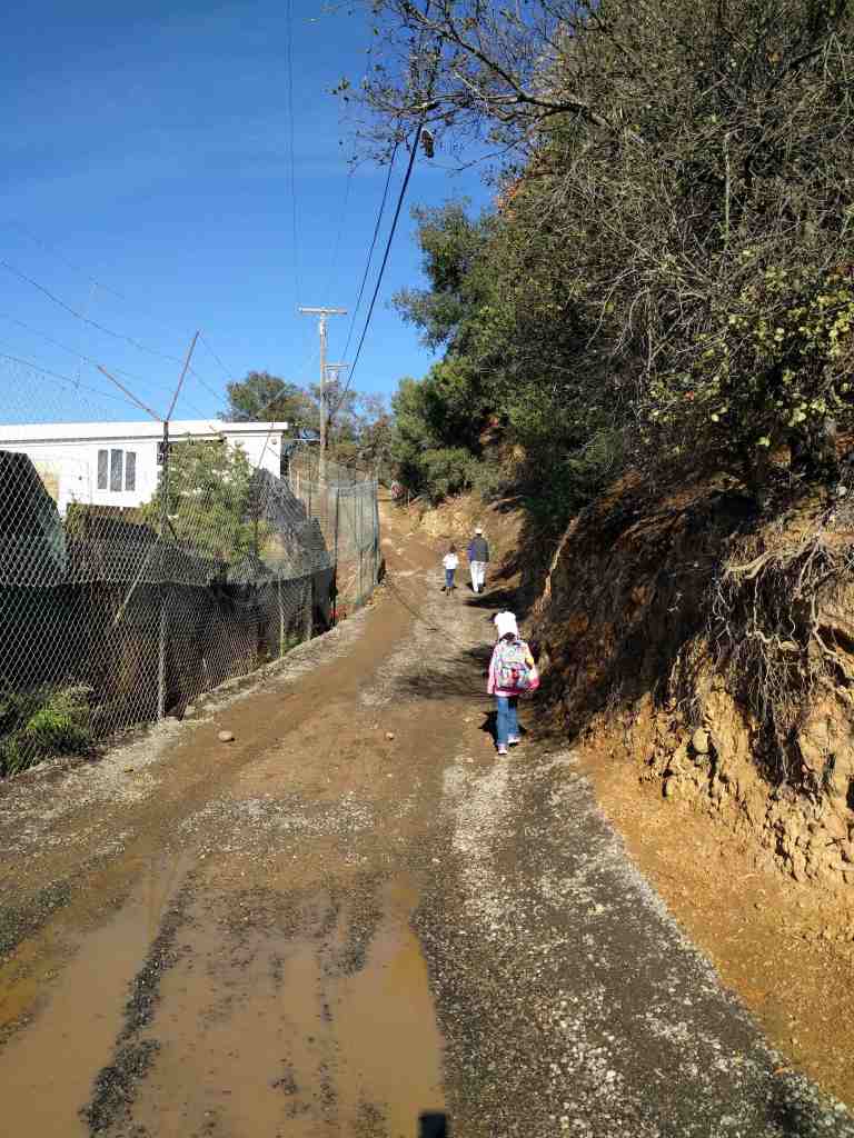 2017-01-01-12-23-28_lr