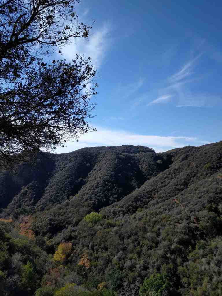 2017-01-01-12-25-49_lr