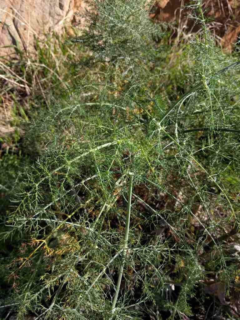 2017-01-01-12-31-01_lr