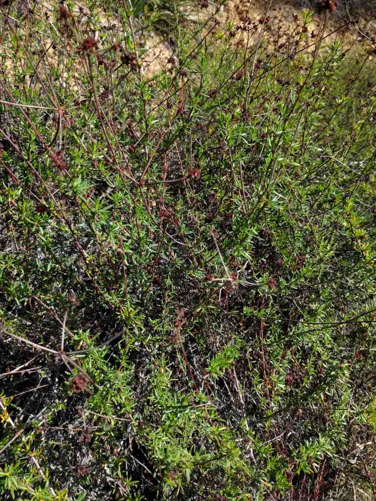 2017-01-01-12-37-14_lr