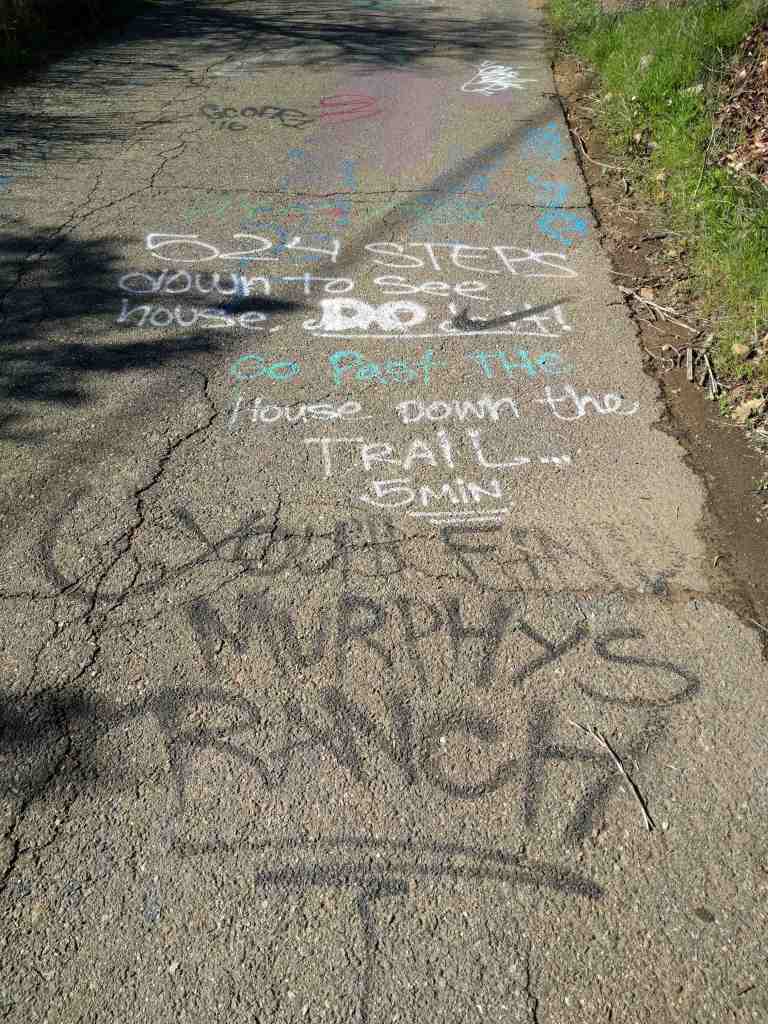 2017-01-01-12-45-49_lr