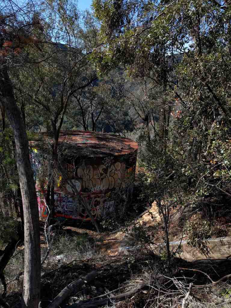 2017-01-01-12-50-23_lr