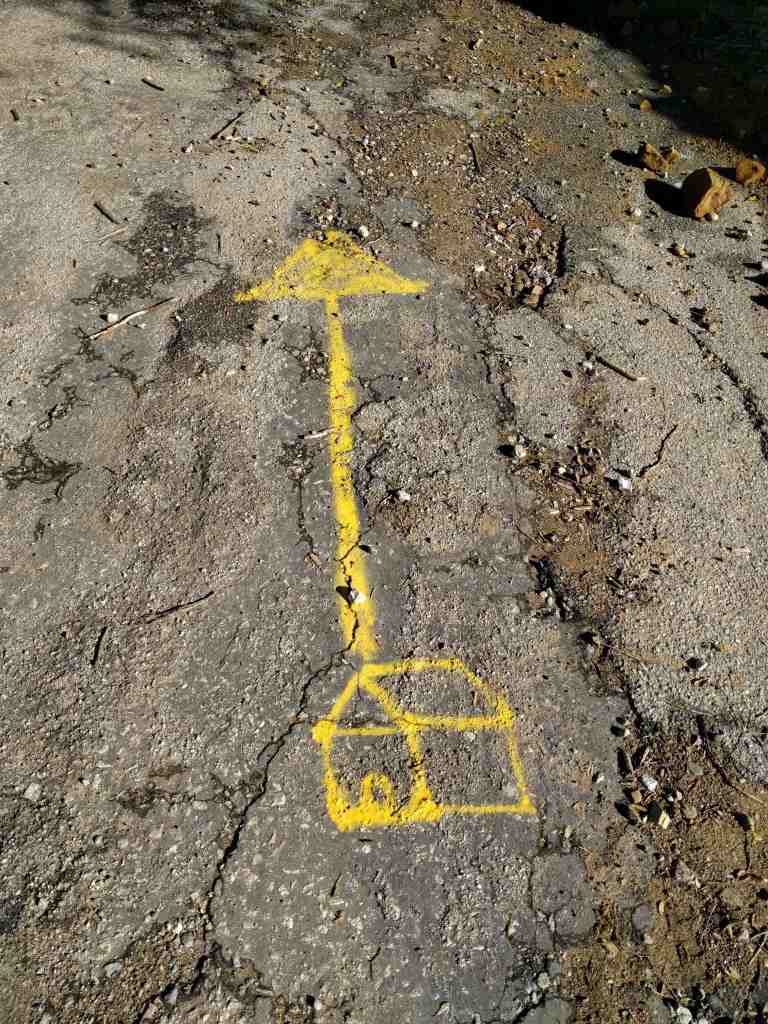 2017-01-01-12-58-46_lr