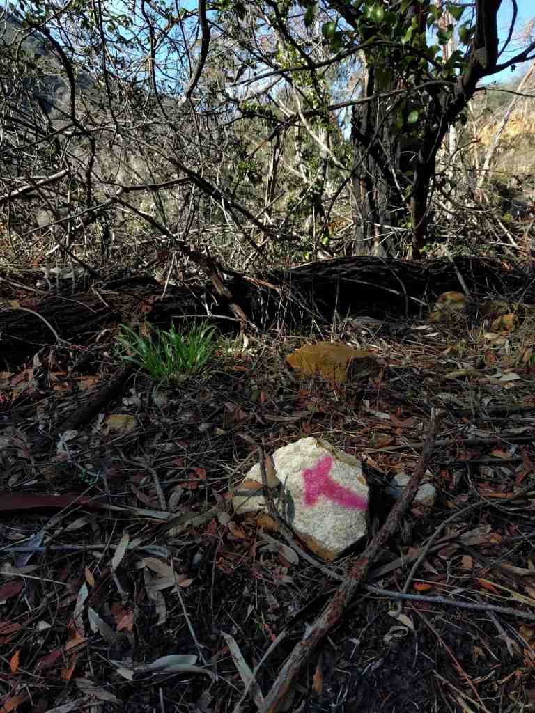 2017-01-01-13-01-38_lr