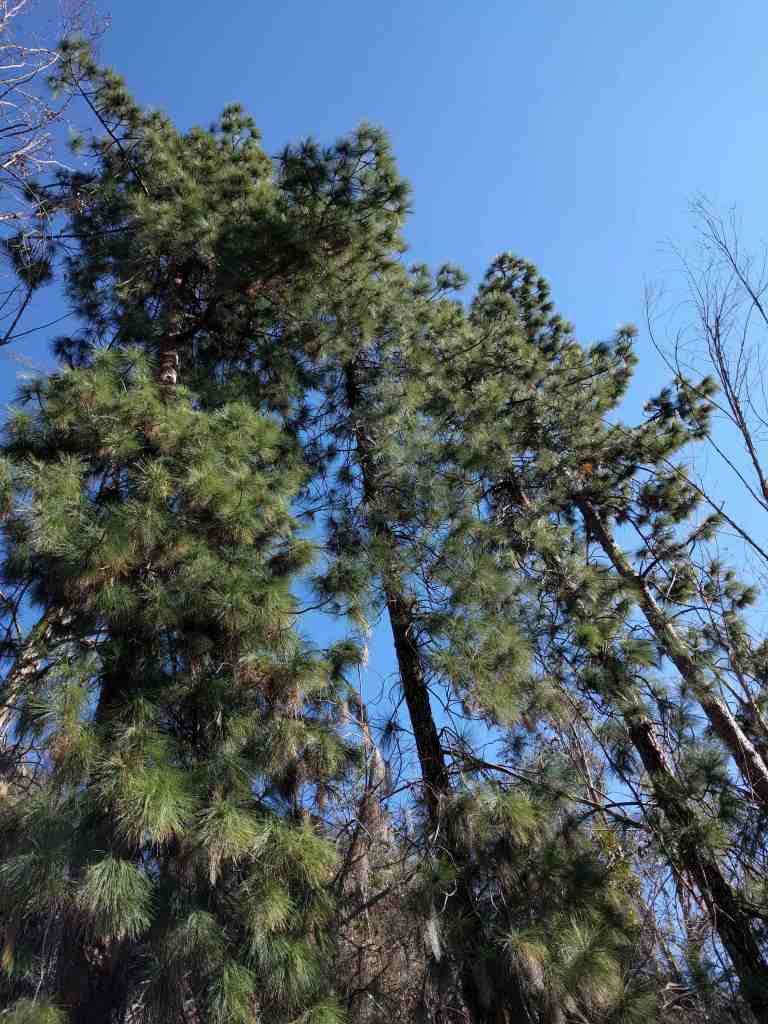 2017-01-01-13-02-37_lr