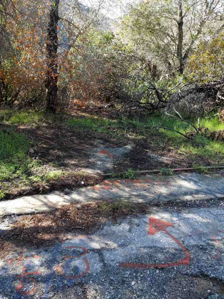 2017-01-01-13-06-45_lr