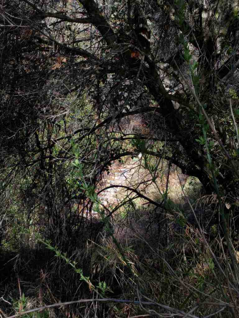 2017-01-01-13-08-08_lr