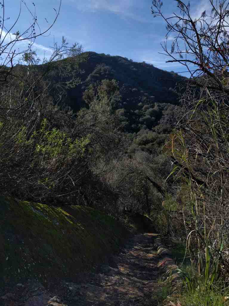 2017-01-01-13-09-20_lr