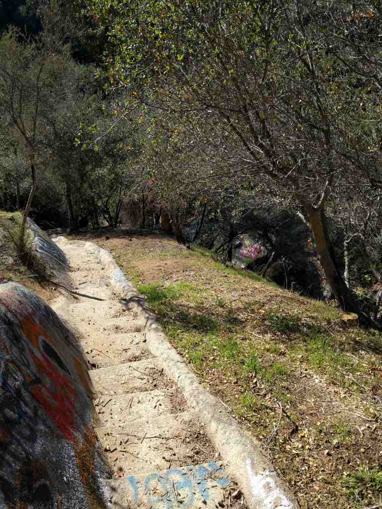 2017-01-01-13-10-37_lr