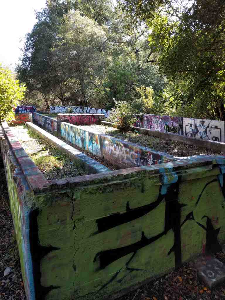 2017-01-01-13-12-52_lr