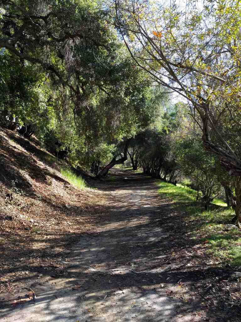 2017-01-01-13-14-58_lr