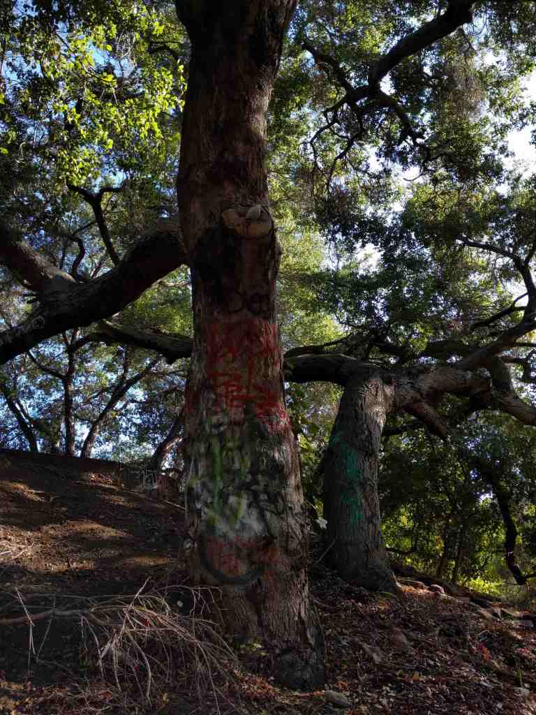 2017-01-01-13-33-40_lr