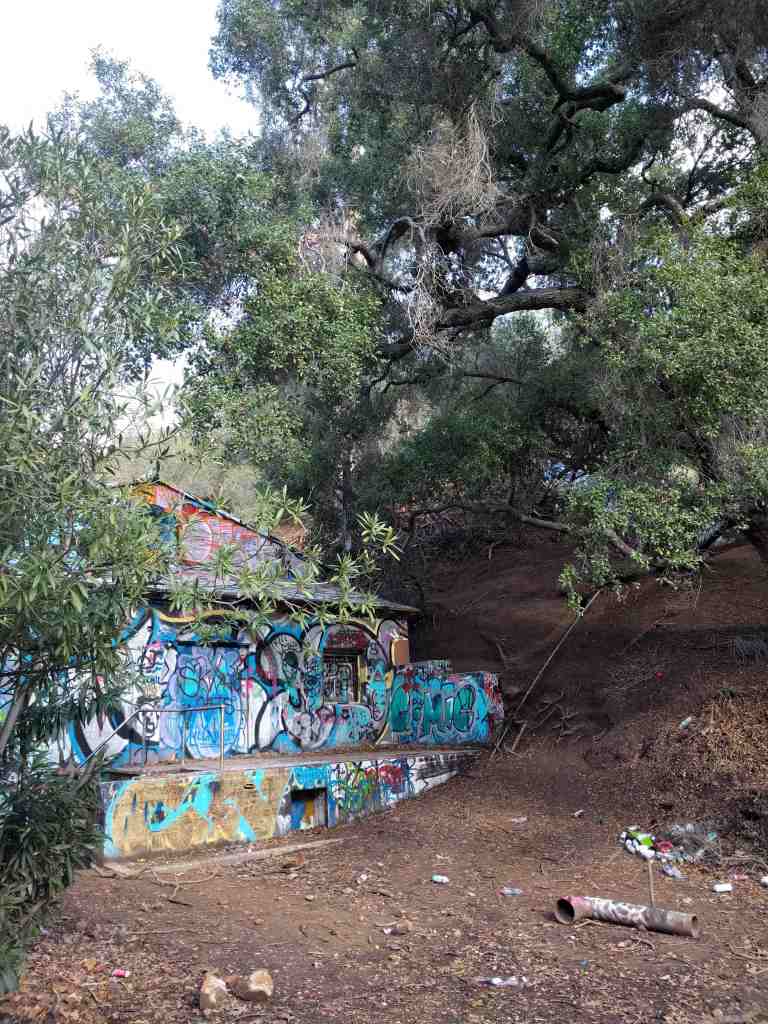 2017-01-01-14-03-22_lr