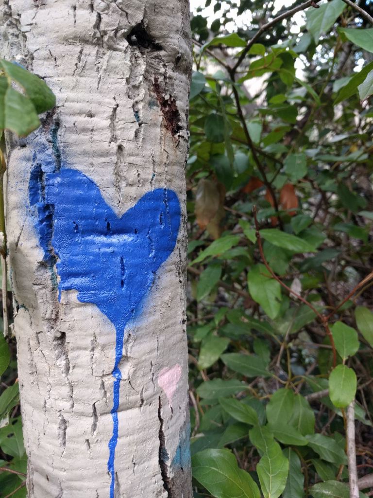 2017-01-01_mtk_03_lr