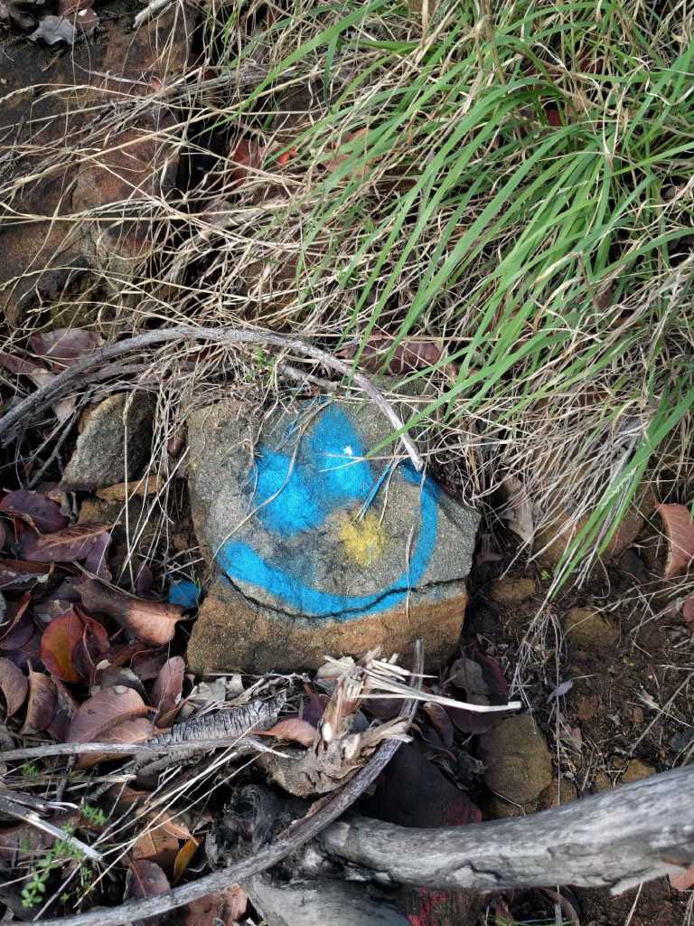 2017-01-01_mtk_06_lr