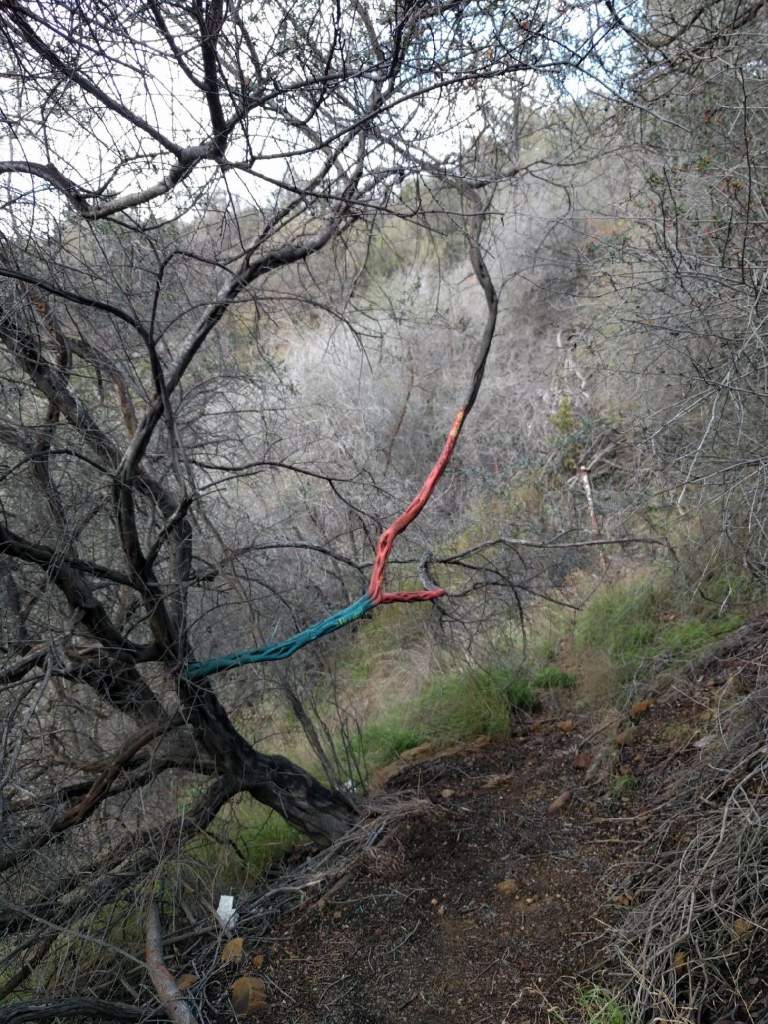 2017-01-01_mtk_07_lr