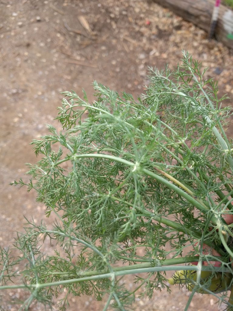 2017-01-01_mtk_08_lr