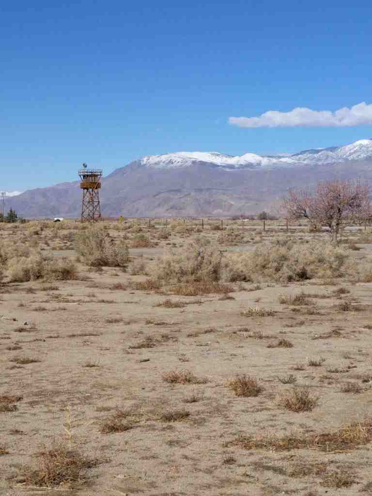 2017-01-14-13-48-03_lr