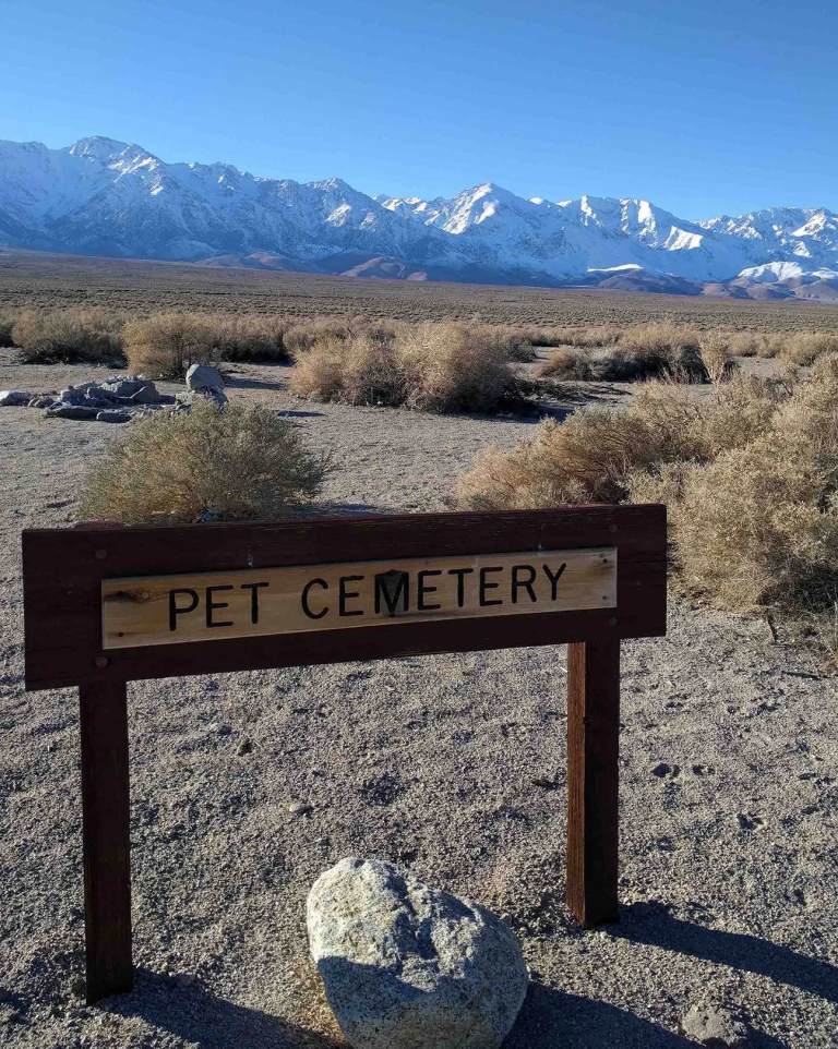 2017-01-14-15-11-27_lr