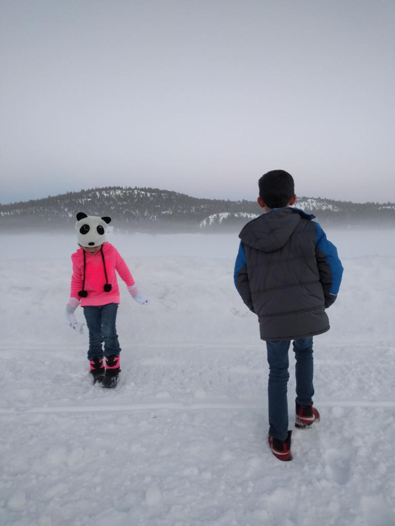 2017-01-14-17-09-34_lr