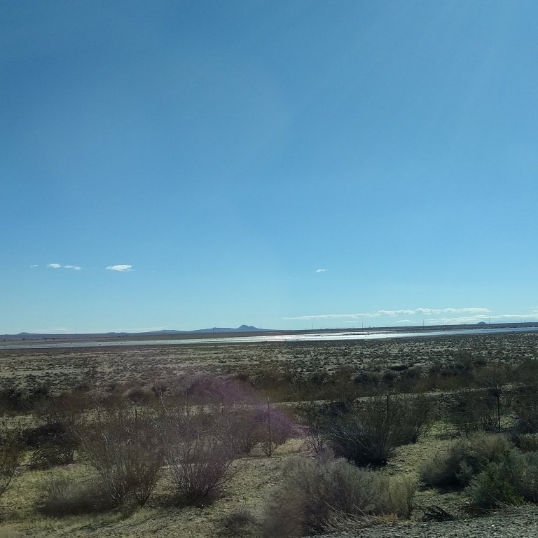 2017-01-14_112814_439_ig_lr