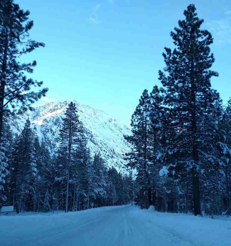 2017-01-15-15-12-24_lr