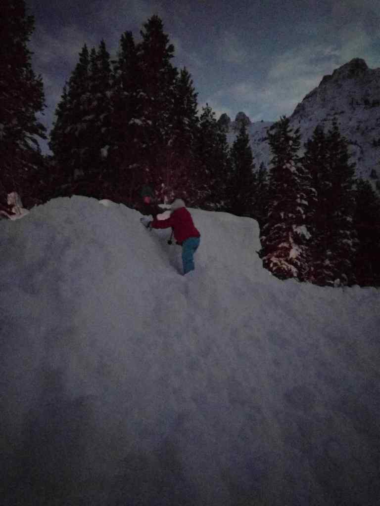 2017-01-15-17-36-39_lr