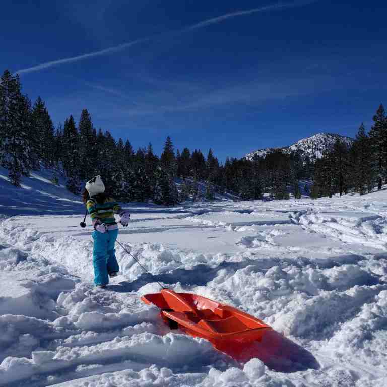 2017-01-15_154559_455_ig_lr