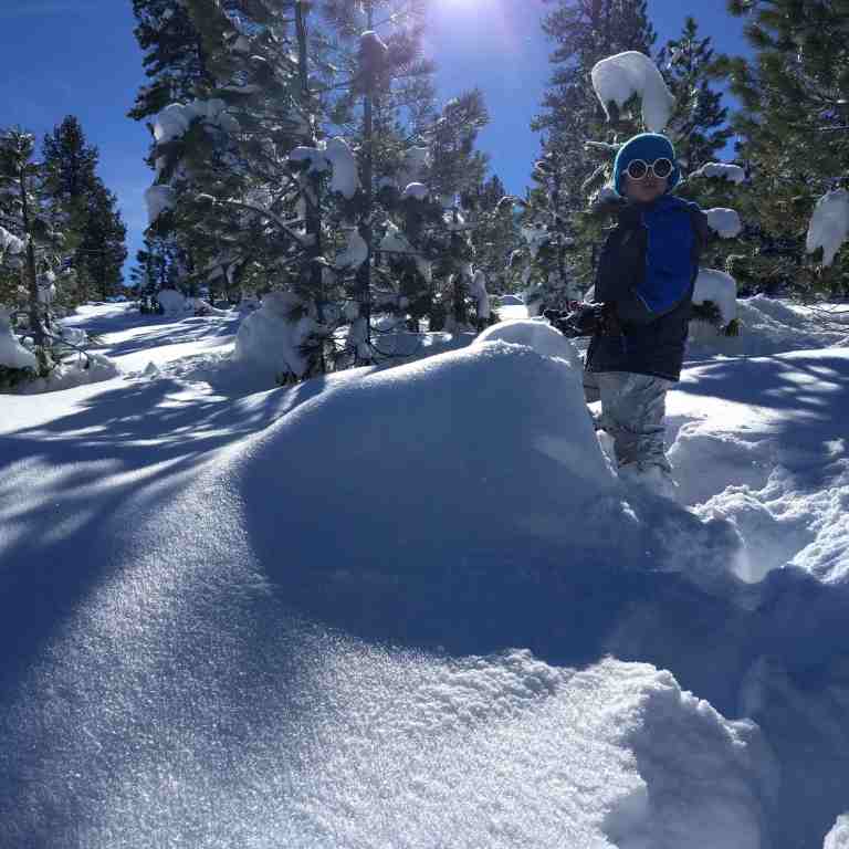 2017-01-15_154854_215_ig_lr