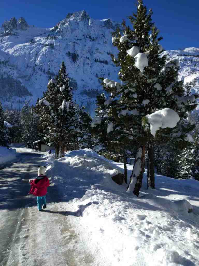 2017-01-16-09-39-27_lr