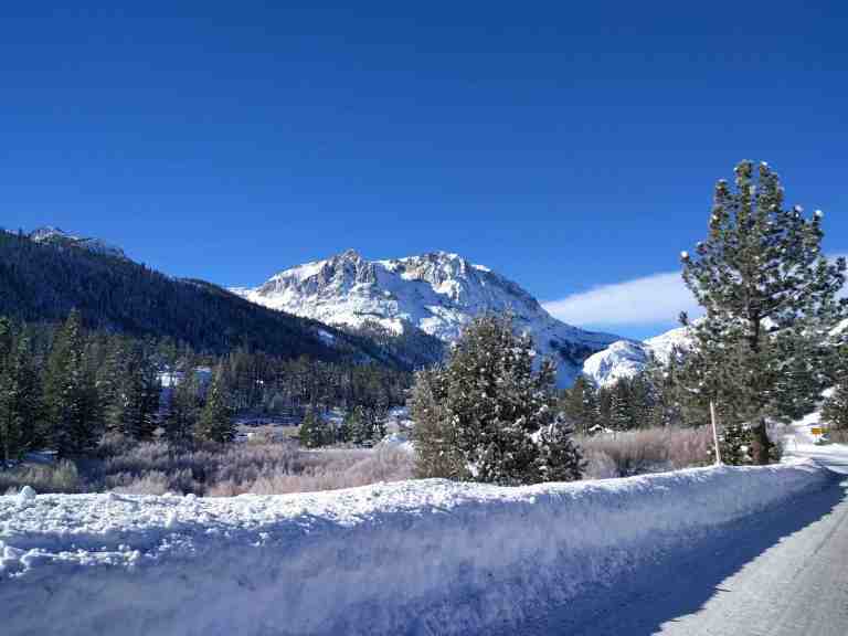 2017-01-16-10-02-48_lr