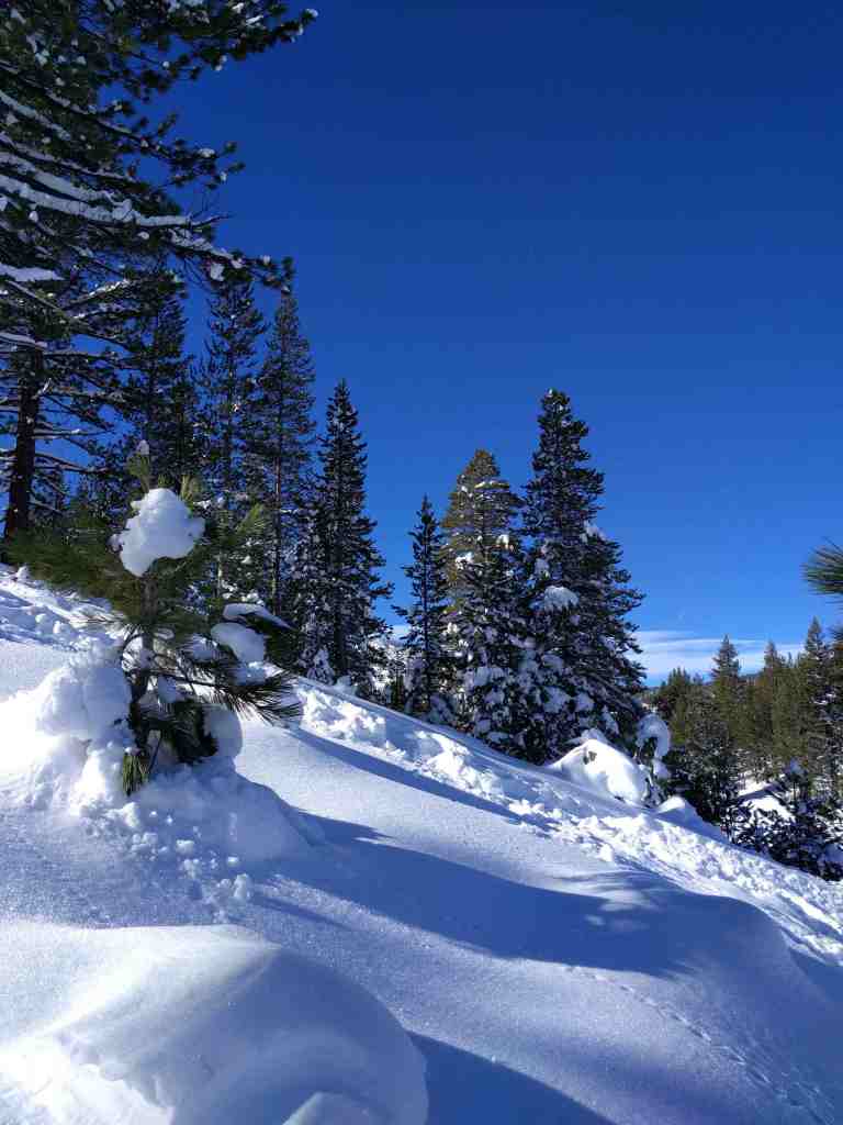 2017-01-16-10-43-54_lr