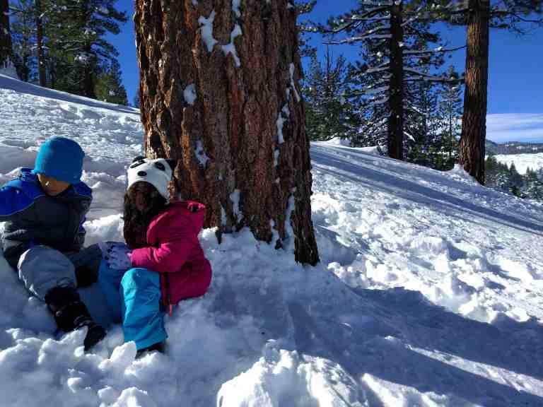 2017-01-16-10-46-59_lr