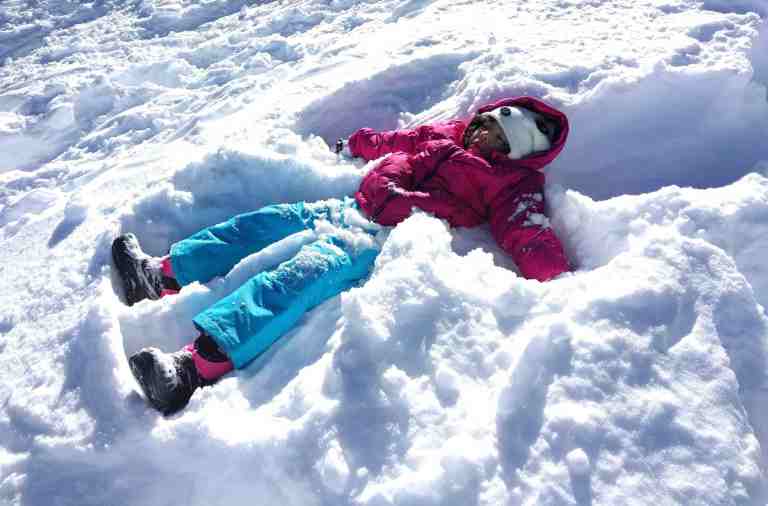 2017-01-16-10-52-33_lr