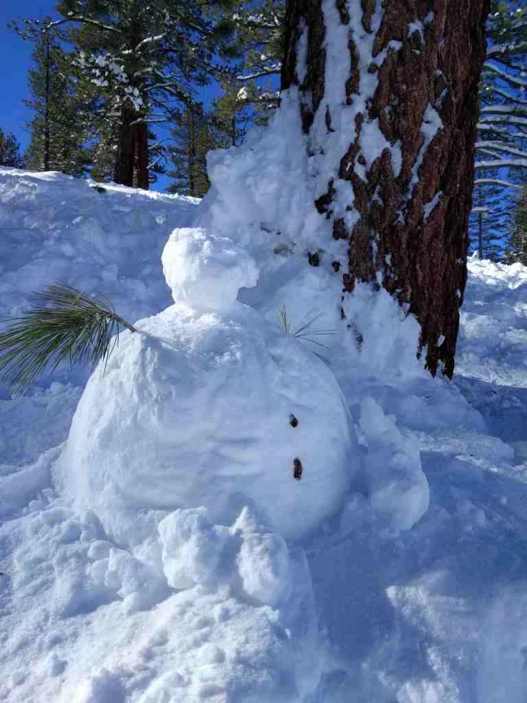 2017-01-16-10-59-40_lr