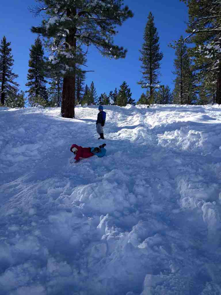 2017-01-16-10-59-57_lr