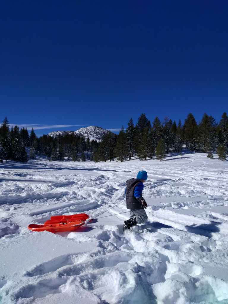 2017-01-16-11-08-03_lr