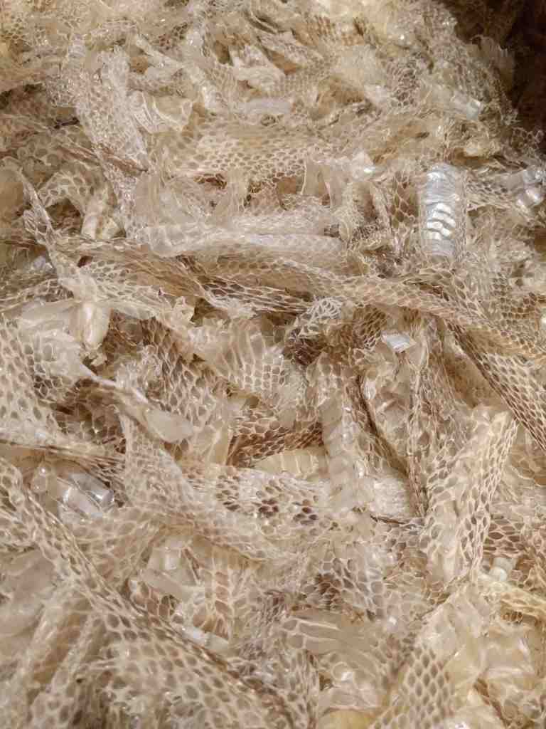 2017-01-28-14-33-50_lr