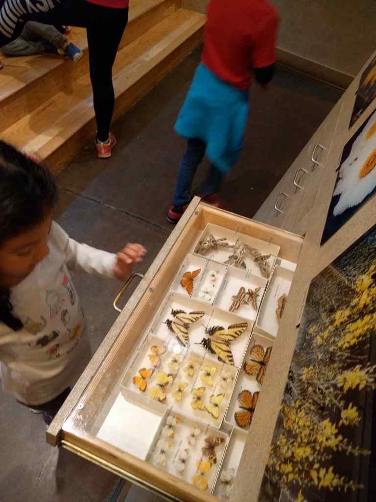 2017-01-28-14-34-33_lr