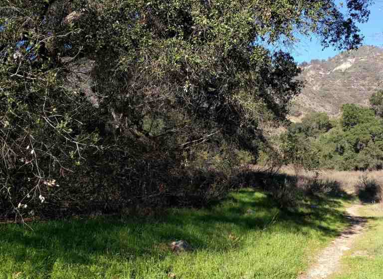 2017-01-28-15-03-15_lr