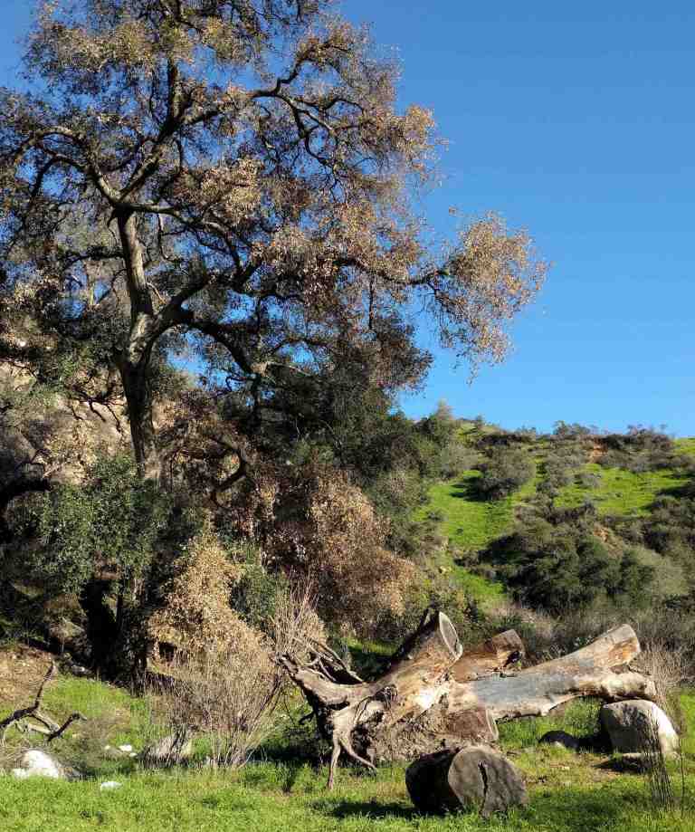 2017-01-28-15-19-58_lr