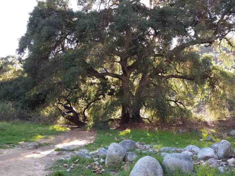 2017-01-28-15-23-11_lr