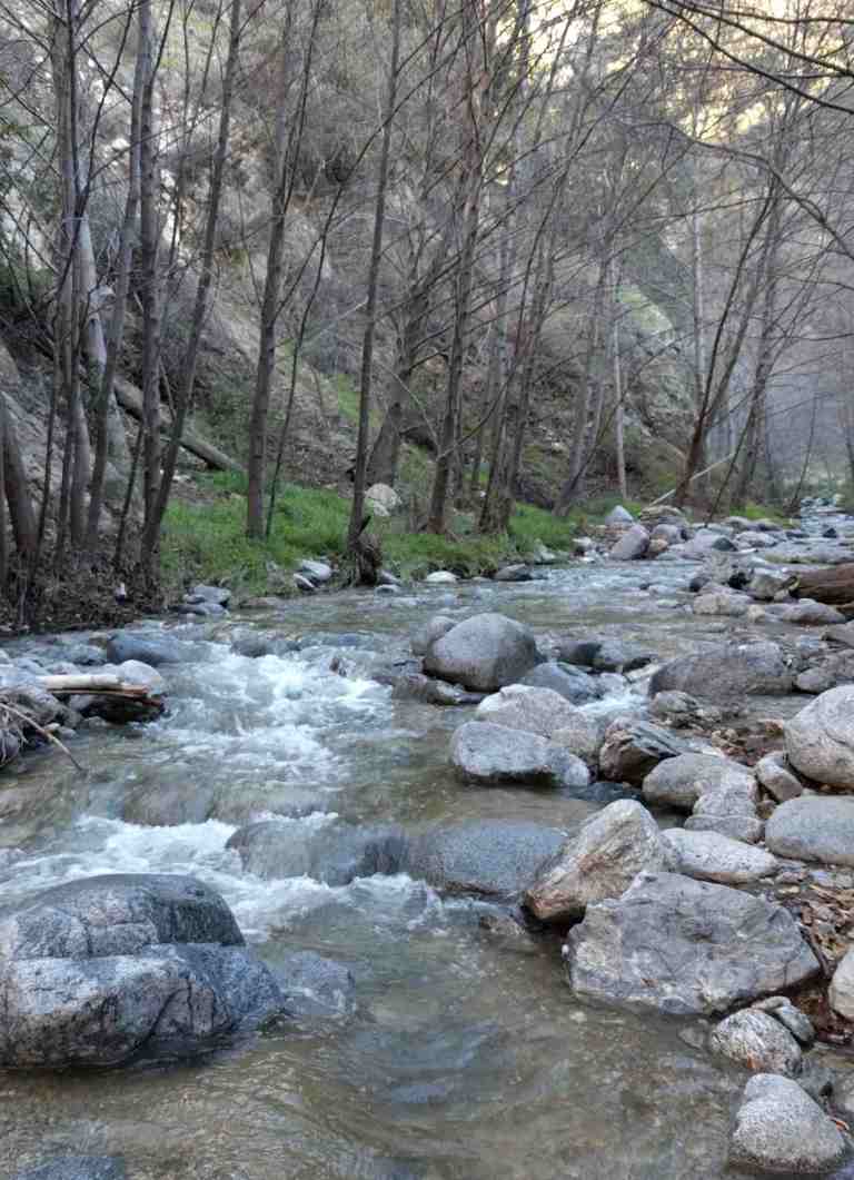 2017-01-28-15-50-10_lr