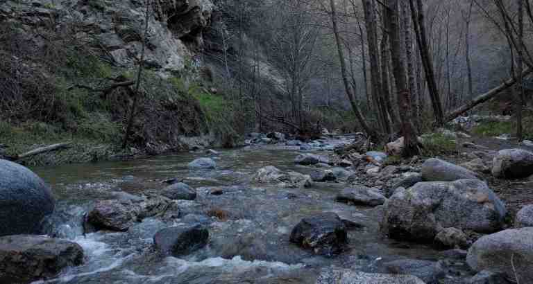 2017-01-28-15-51-08_lr