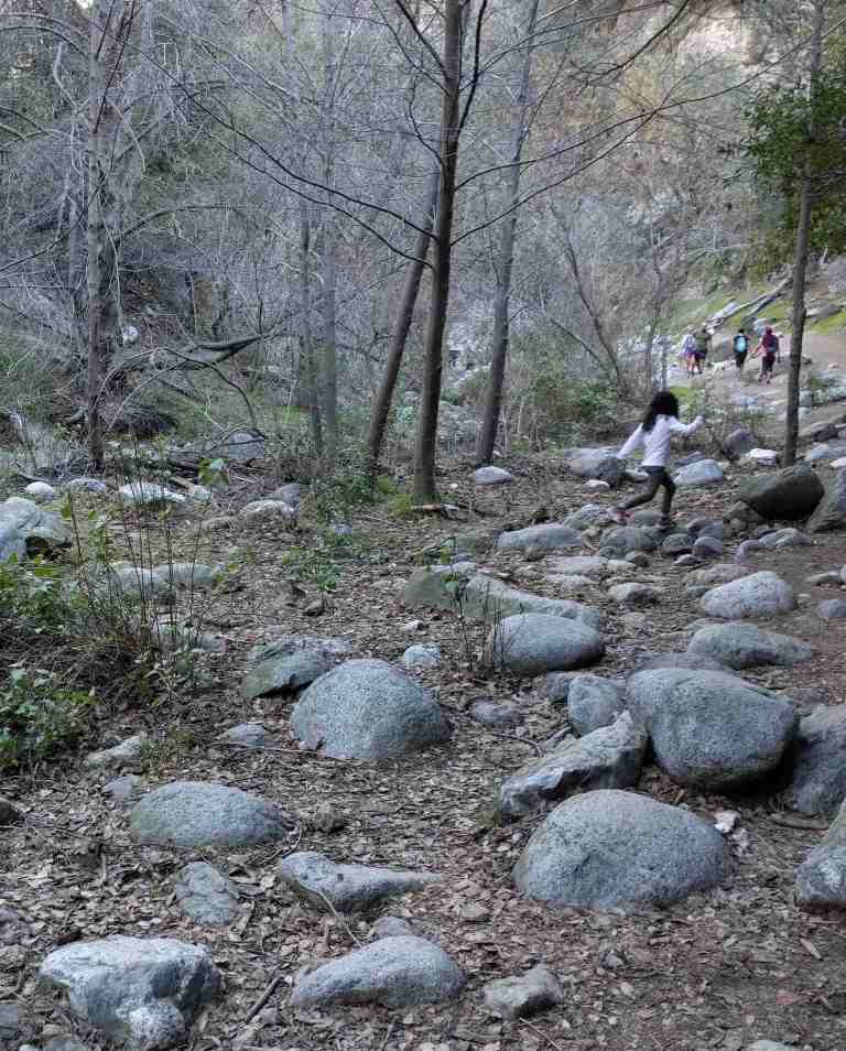 2017-01-28-15-53-35_lr