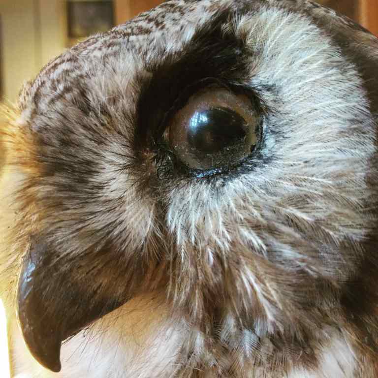 2017-01-28_185946_038_ig_lr