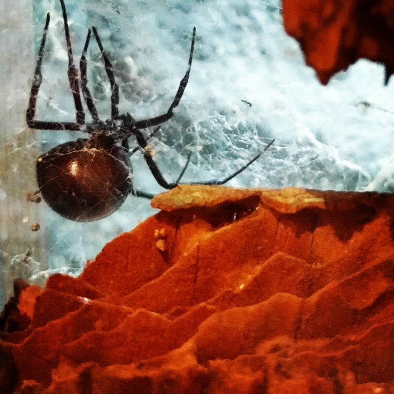 2017-01-28_190309_779_ig_lr