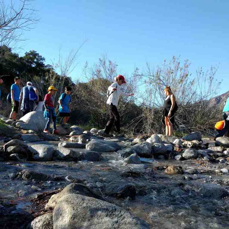 2017-01-28_191506_096_ig_lr