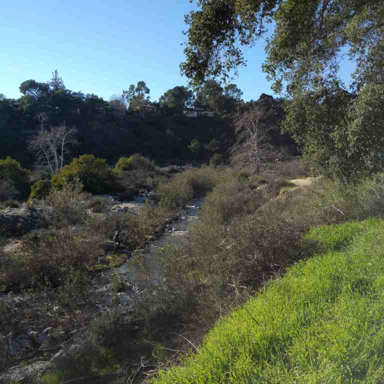 2017-01-28_191838_155_ig_lr